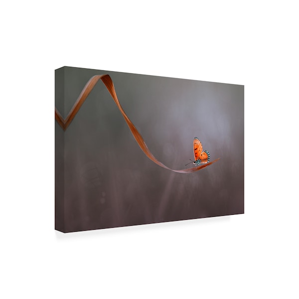 Edy Pamungkas 'Lonely Orange' Canvas Art,16x24